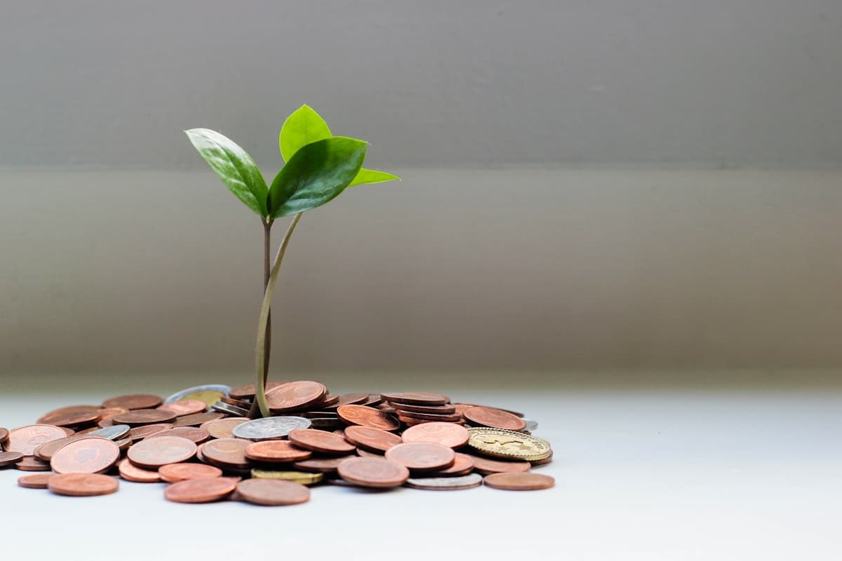 Cash Flow Management for Ecommerce: Why Profitable Stores Still Go Broke